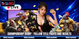 Championship Derby - Follow Title Fights And Results